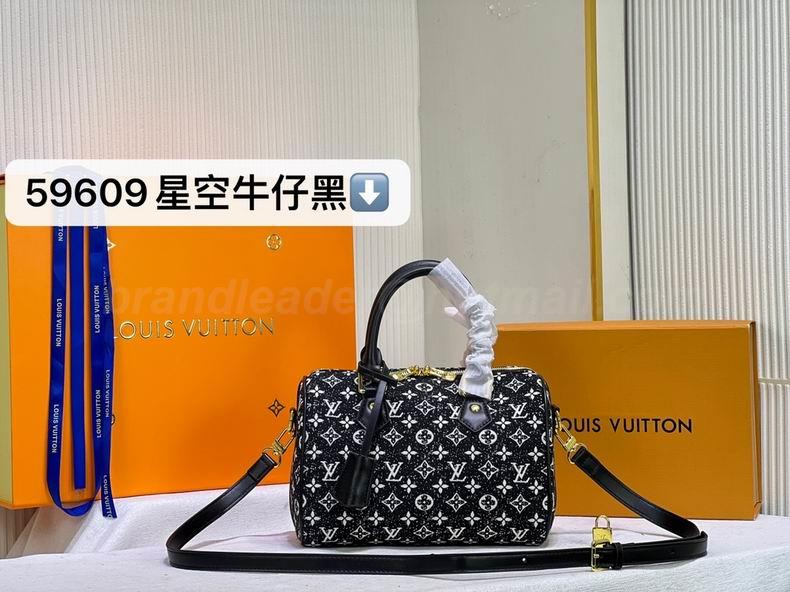 LV Handbags 176